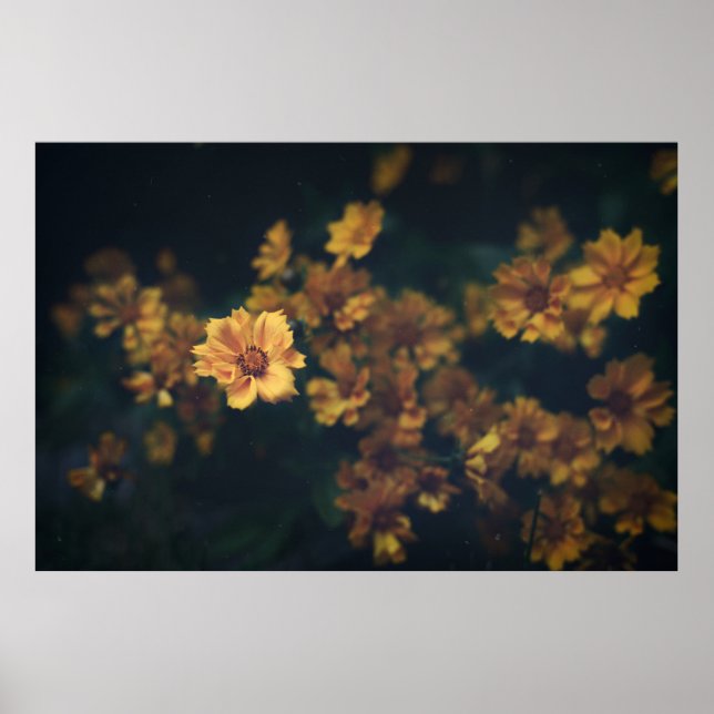 BOKEH FOTOGRAPHY OF GULA BLOMMOR POSTER (Framsidan)