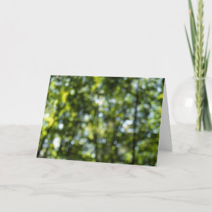 Bokeh i vår kort