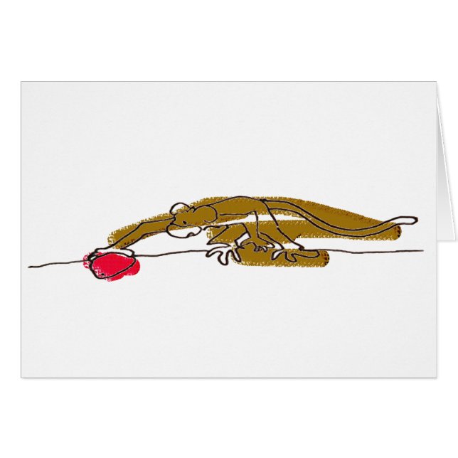 Boken för den Kt Tau-affischen turnerar kort 01 (Framsidan Horizontal)