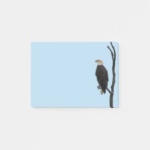 Bokför anteckningar Eagle Post-it Block