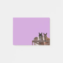 Bokför anteckningar hästar