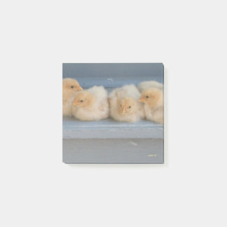 Bokför anteckningar post-it block