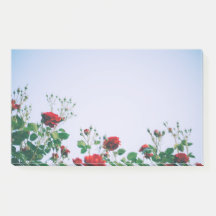 Bokför anteckningar