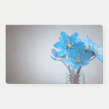 Bokför anteckningar