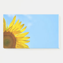 Bokför anteckningar