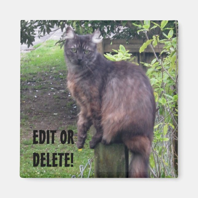 Bokför kassettmagnet magnet (Framsidan)