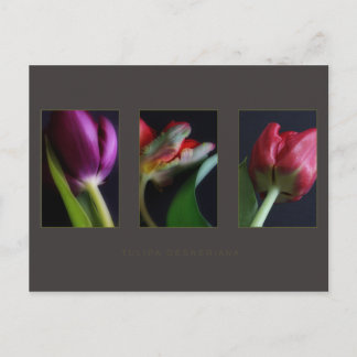 Bokföringskort Vykort