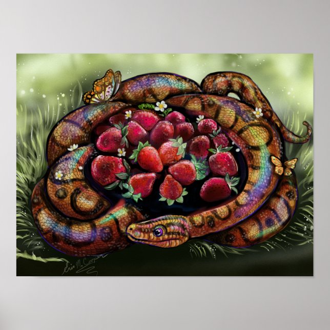 Bokföringstillgångar Poster (Framsidan)