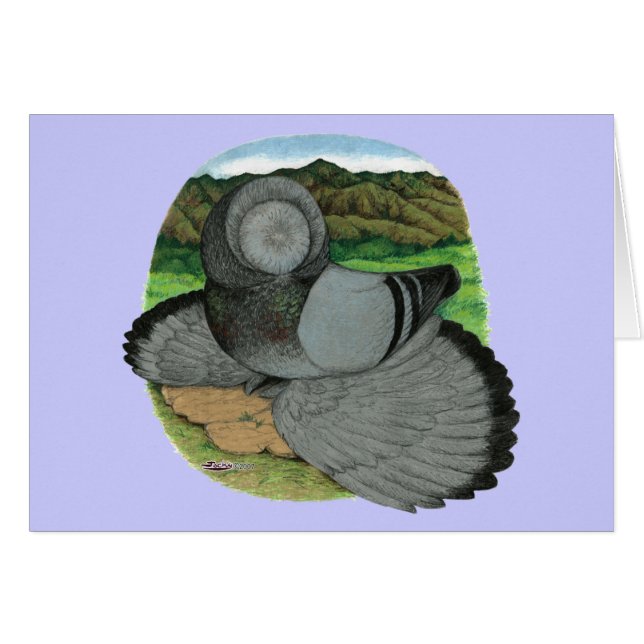 Bokhara Trumpeter Pigeon Blue OBS Kort (Framsidan Horizontal)