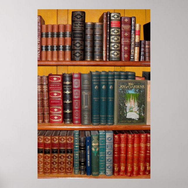 bokhyllan bokar bibliotek poster (Framsidan)