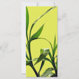 bokmärke för botaniska konsthunger för bamboo grön