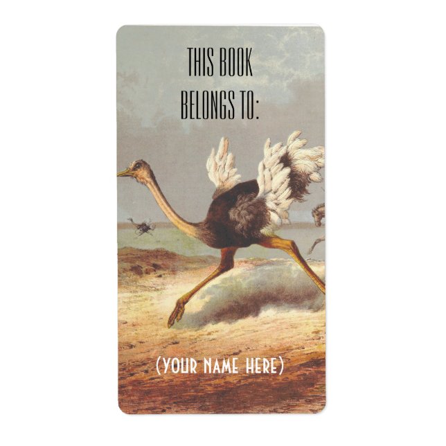 Bokskylt med färgstarka löpande strutillustratione fraktsedel (Framsidan)