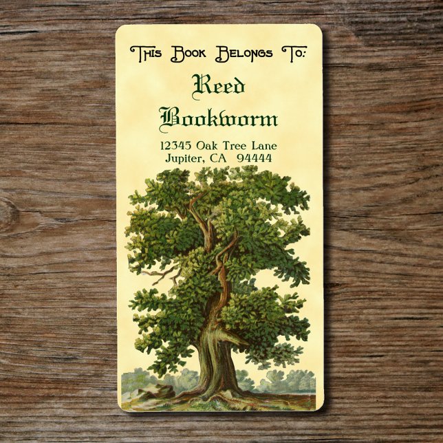 Bokskyltetikett för vintage Oak Träd Anpassningsba Fraktsedel (Vintage Oak Tree Bookplate label)