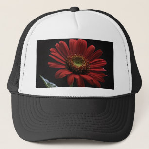 "Bold Beauty: A Single Red Daisy on Black" Keps