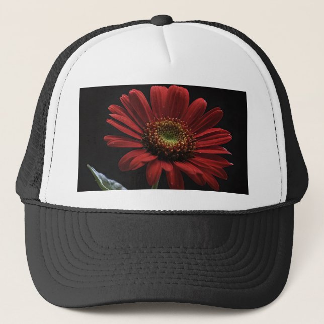 "Bold Beauty: A Single Red Daisy on Black" Keps (Framsida)