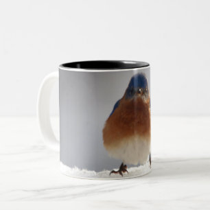 Bold Bluebird Två-Tonad Mugg