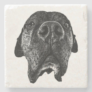 Bold Cane Corso Nose Art | Dog Coaster Stenunderlägg