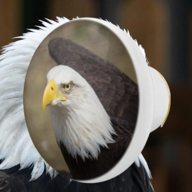 Bold Eagle Ceramic Drawer Knob – Strength Knopp (Skapare uppladdad)