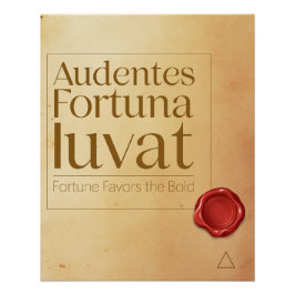 Bold Motivational Quote - Latin Poster Art Perfect Poster