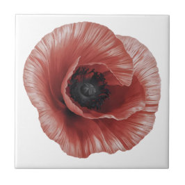 Bold Red Poppy Botanical Art Design Kakelplatta