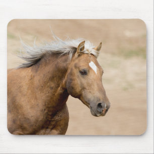 Bolder Springa Mounsepad från Spara Vild Horses Musmatta