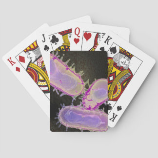 Böldpest som leker kort spel kort