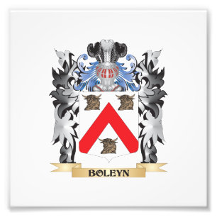 Boleyn vapensköld - familjvapensköld fototryck