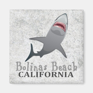 Bolinas Beach California shark magnet