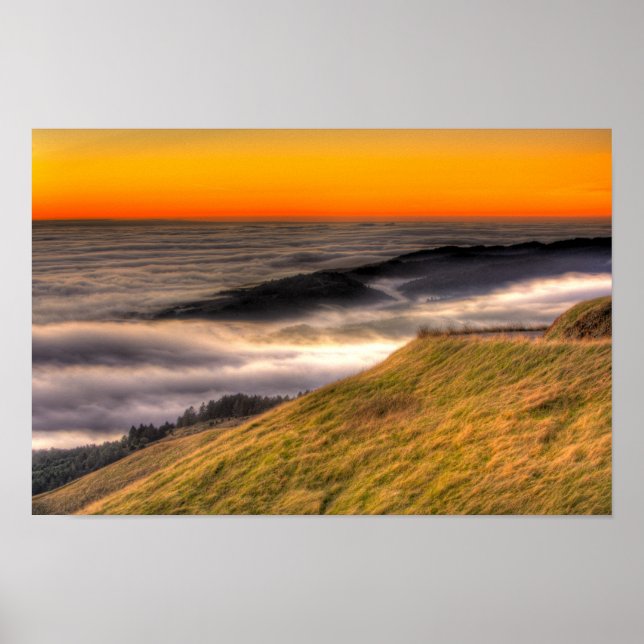 Bolinas Fog Poster (Framsidan)