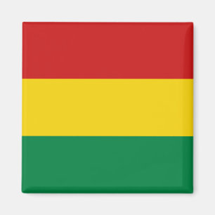Bolivia flaggamagnet magnet