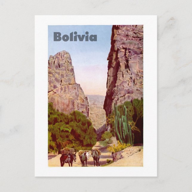 Bolivia Vykort (Framsida)