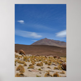 Bolivian Altiplano Desert Liggande Poster