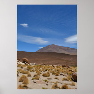 Bolivian Altiplano Desert Liggande Poster