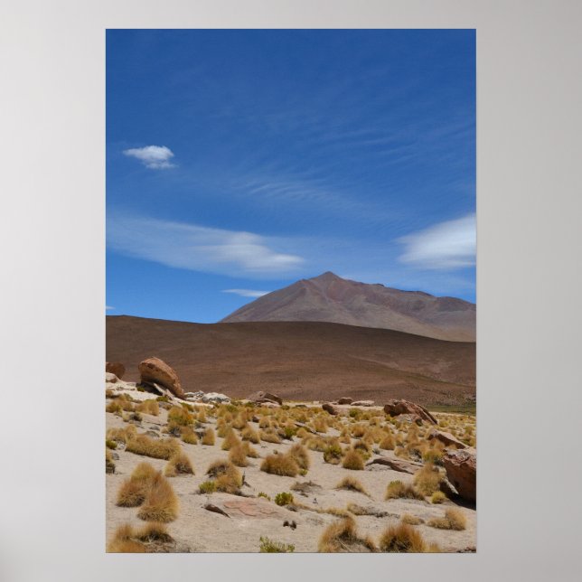 Bolivian Altiplano Desert Liggande Poster (Framsidan)