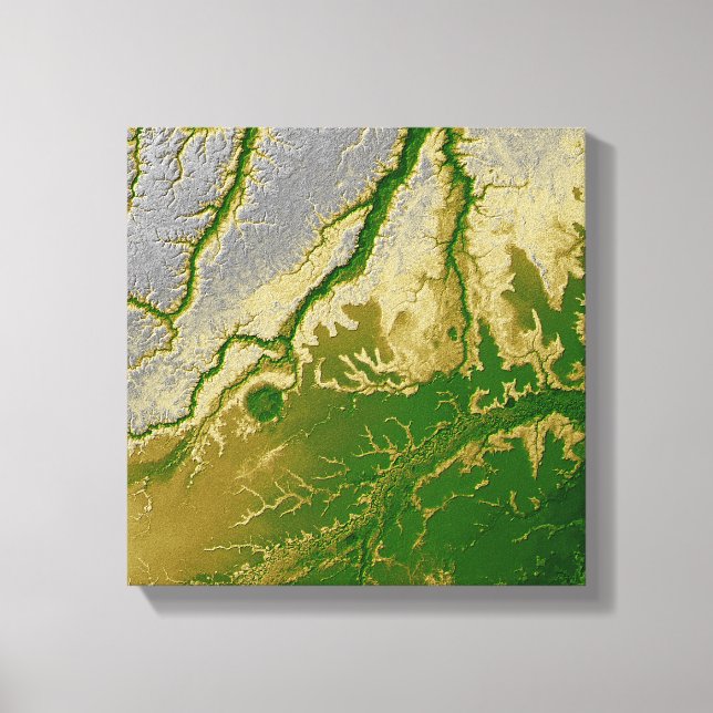 Bolivias Amazon Canvastryck (Framsida)