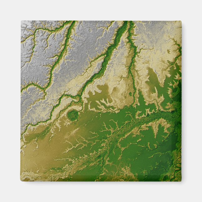 Bolivias Amazon Magnet (Framsidan)