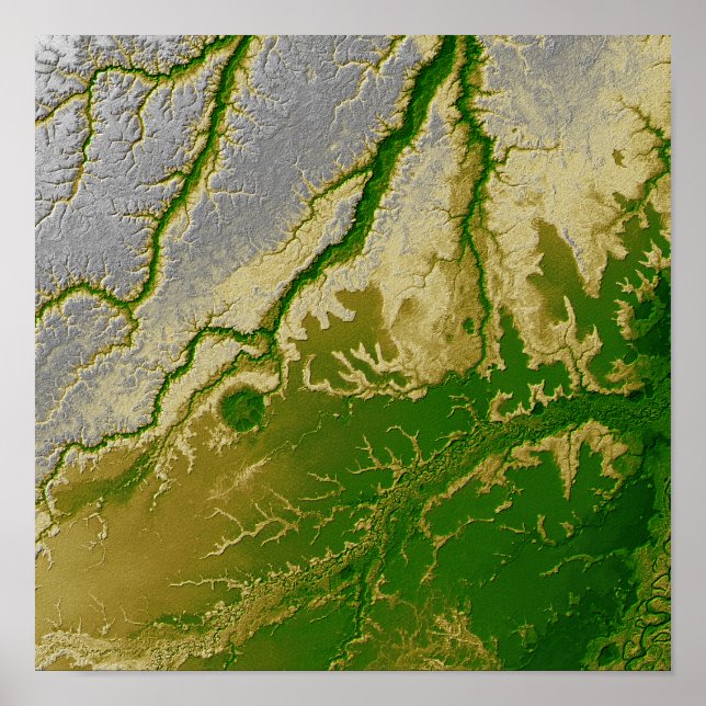 Bolivias Amazon Poster (Framsidan)