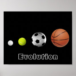 Boll Evolution Poster