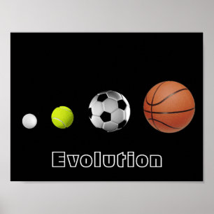 Boll Evolution Poster