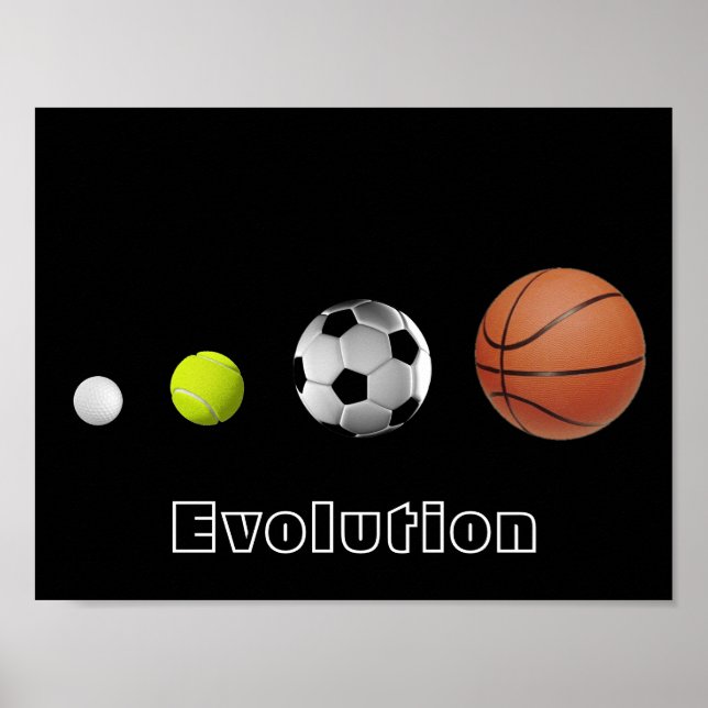 Boll Evolution Poster (Framsidan)