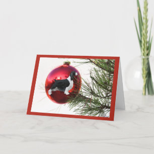 Boll för julkort för Spaniel för engelsk Springer Helgkort