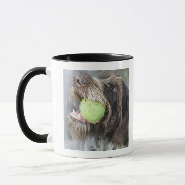 Boll för tennis för pekarehund sticka, närbild mugg (Vänster)