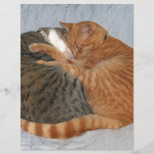Boll i Cuteness