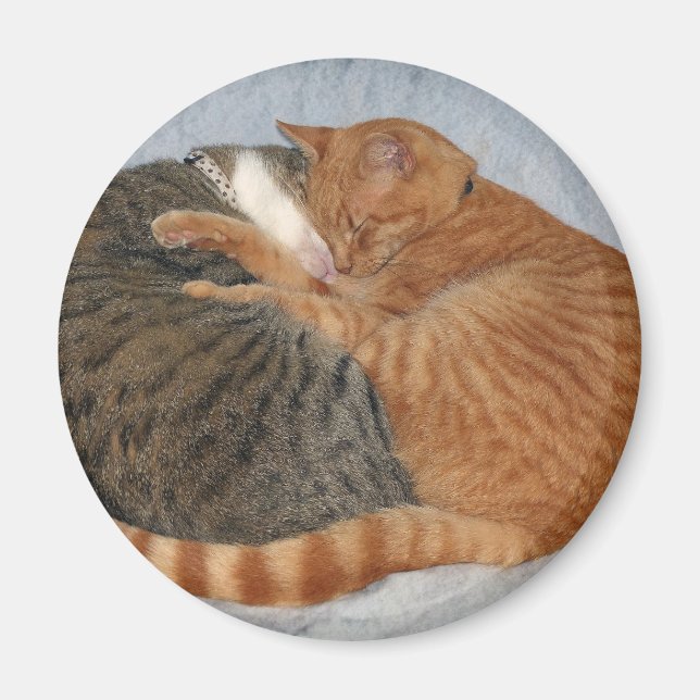 Boll i Cuteness Magnet (Framsidan)