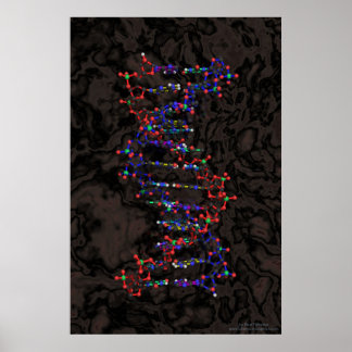 Boll och Stick mot Granite Poster