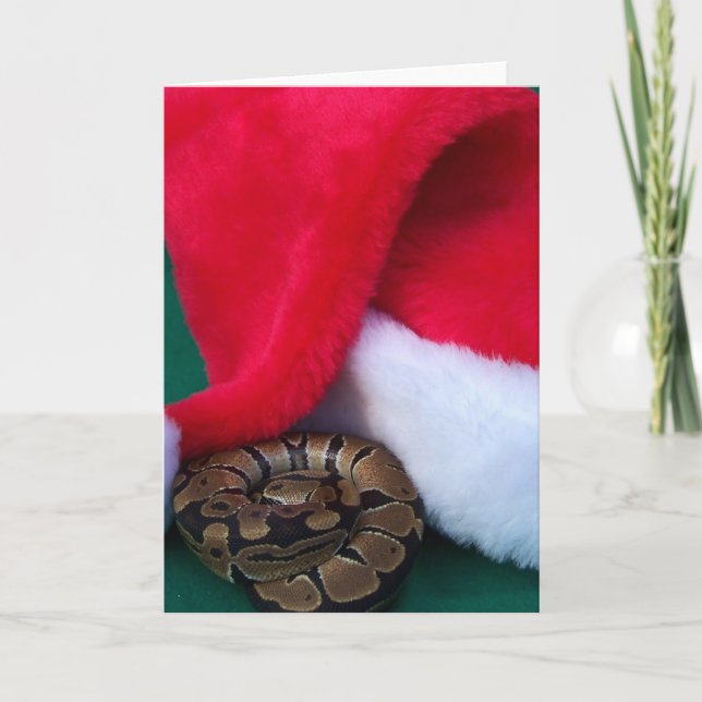 Boll Python bredvid Santa Hat, orm jul Helgkort (Framsida)