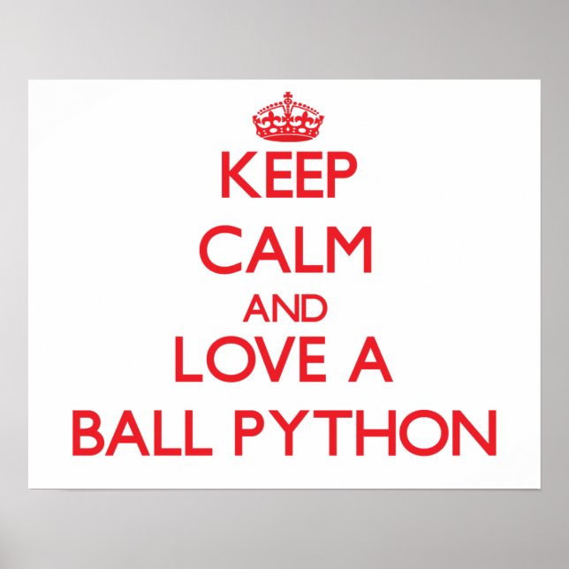 Boll Python Poster (Framsidan)