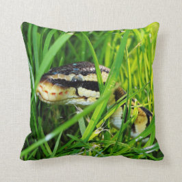Boll Python Snake in Grass Kudde