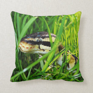 Boll Python Snake in Grass Kudde