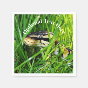 Boll Python Snake in Grass Pappersservett